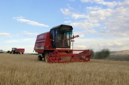 Las cerealeras liquidarán unos US$ 5.700 millones en el último trimestre