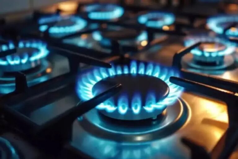 El Gobierno nacional confirmó aumentos en luz, gas y combustibles