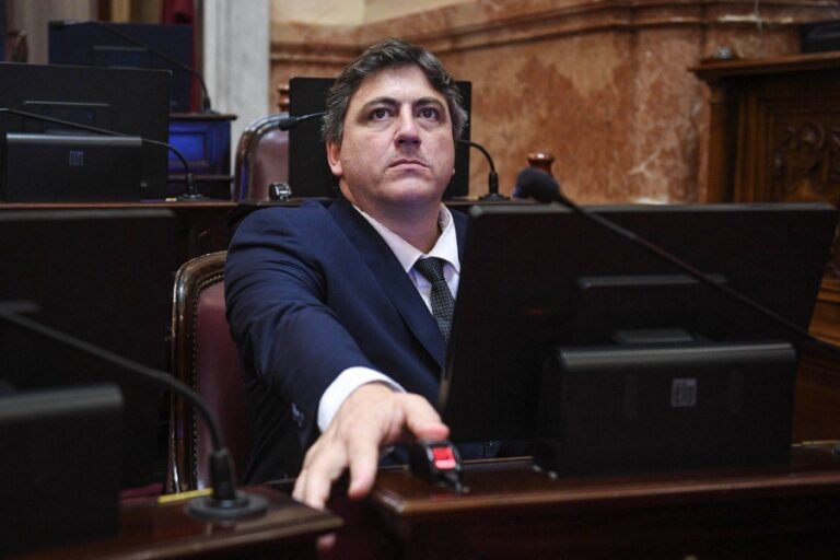 Paoltroni cruzó al Gobierno por el fracaso de la Ficha Limpia